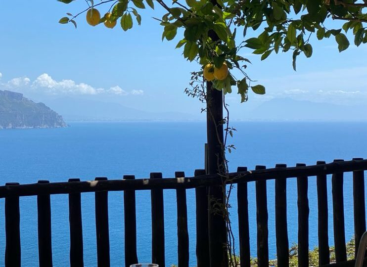 Luxurry Villa with Pool amalfitano Amalfi (38)