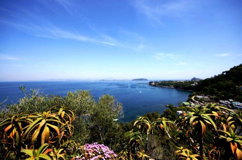 Luxury Villa Ischia Island (26)