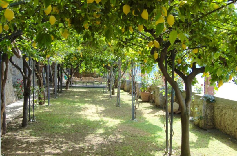 Luxury Villas Ravello (29)