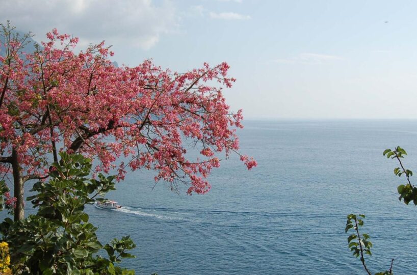 Luxury Villas Ravello (95)