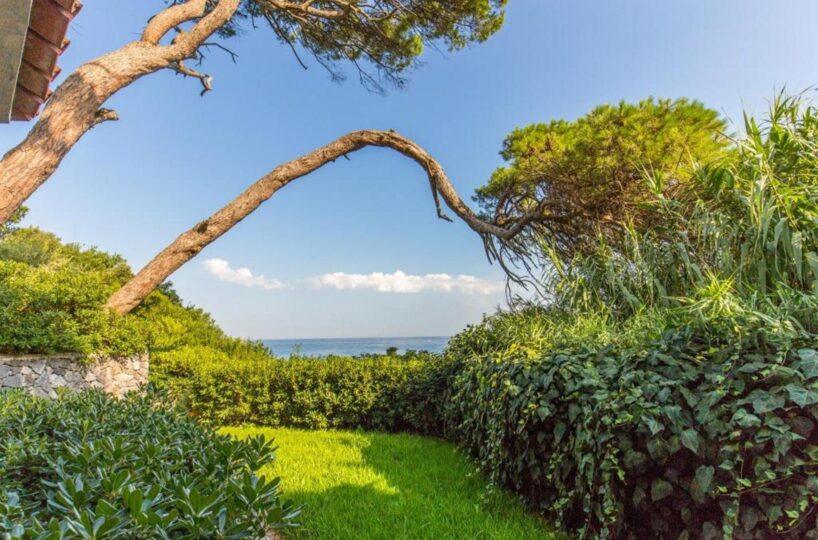 Luxury Villa Ischia (33)