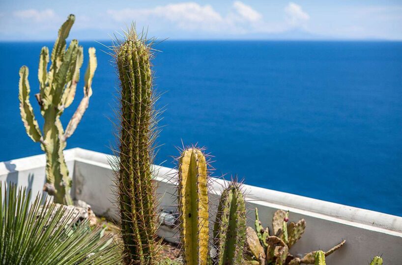 Luxury villa praiano(20)