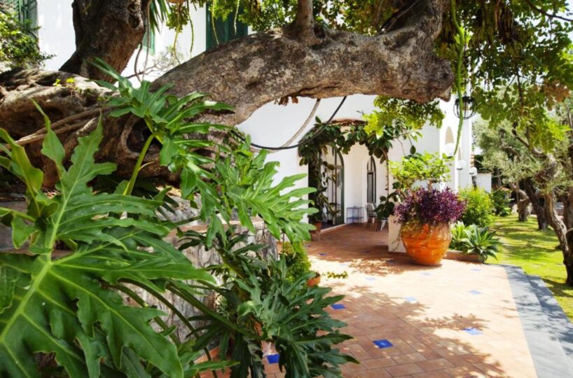 Villa Positano 9 garden