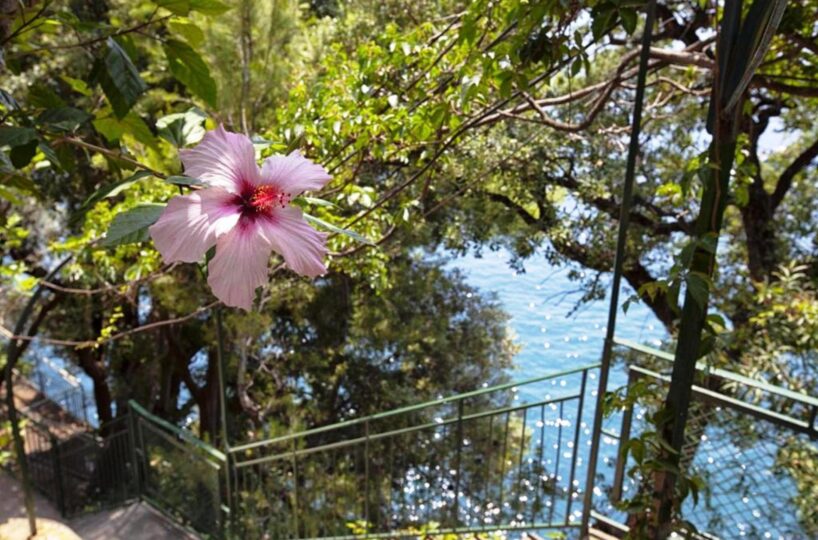 Villa Positano garden
