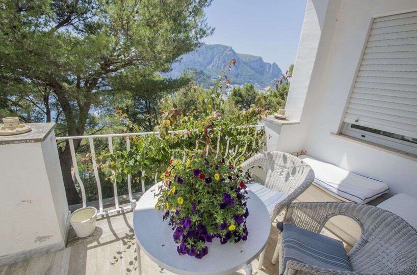luxury villa capri (13)